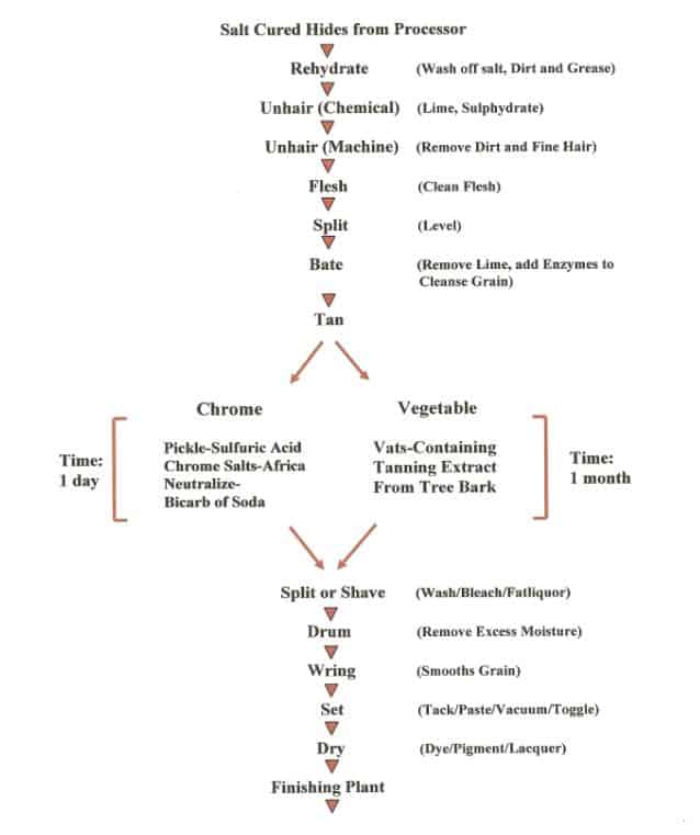 tanning process infographic